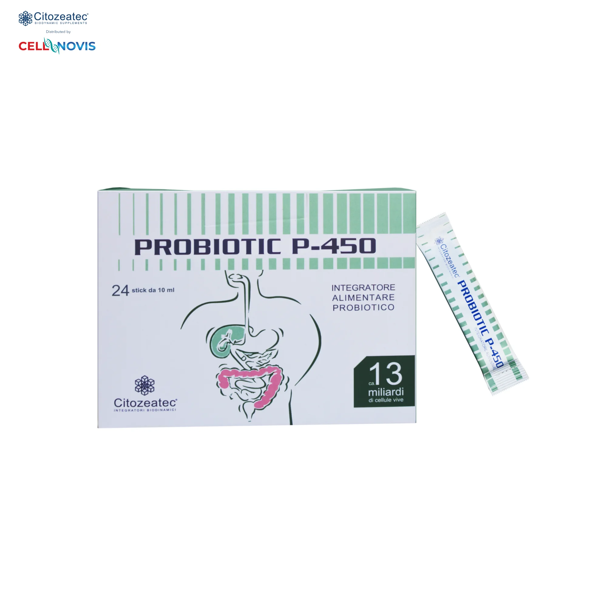 PROBIOTIC P-450 — Daily Probiotic · 13 Billion CFU